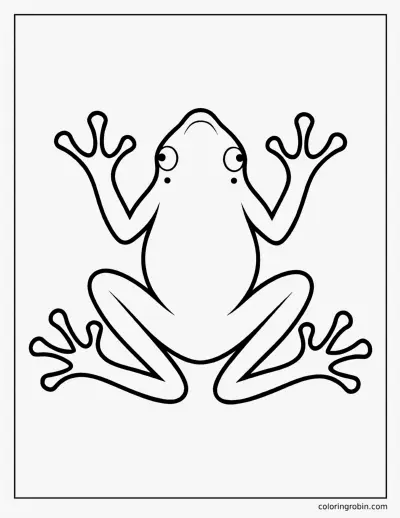 Frog Template coloring page