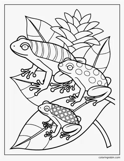 Poison Dart Frogs coloring page