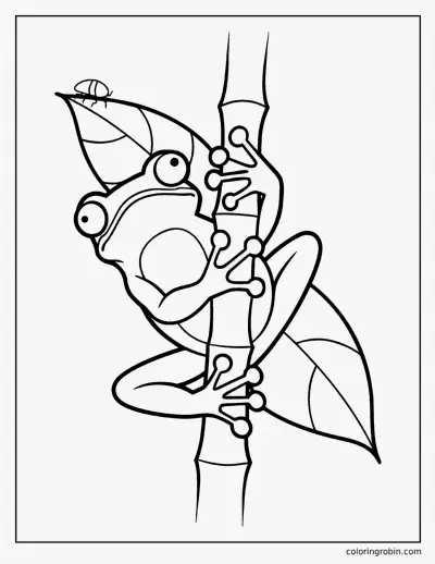 Tree Frog coloring page