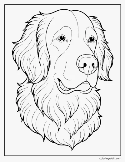 Realistic Golden Retriever coloring page