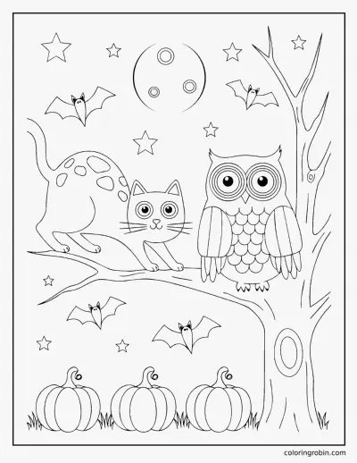 Cat and an Owl coloring page
