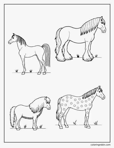 Four Horse Breeds coloring page
