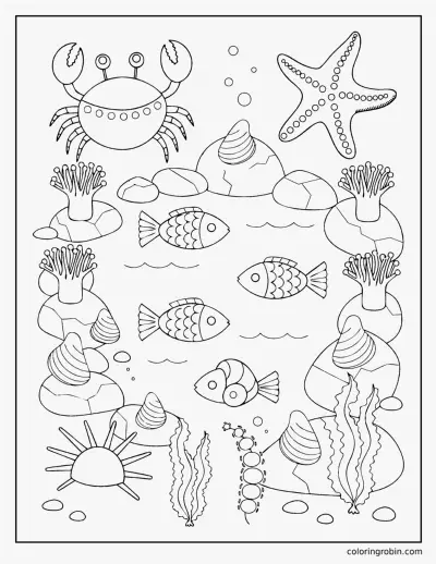 Rockpool at Low Tide coloring page