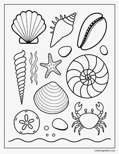 Seashells on the Sand coloring page