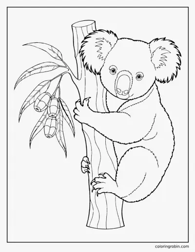 Realistic Koala coloring page