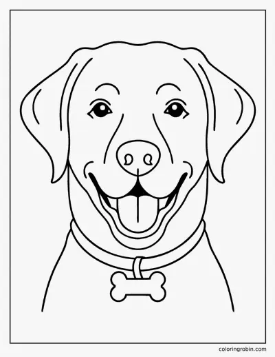 Labrador Face coloring page