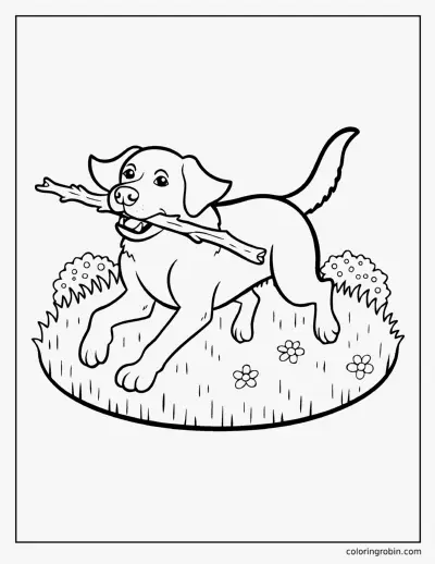 Labrador Fetching a Stick coloring page