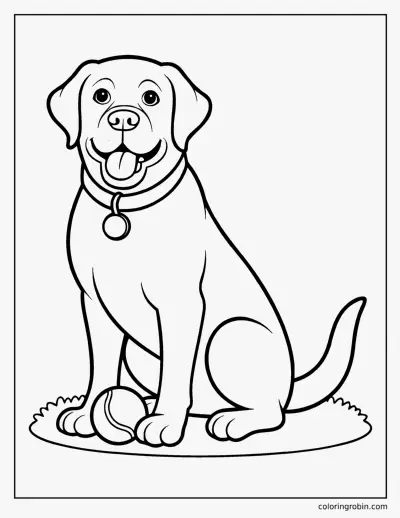 Labrador Retriever coloring page