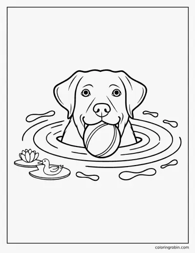 Labrador Swimming with a Ball coloring page