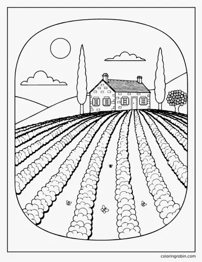 Lavender Fields coloring page