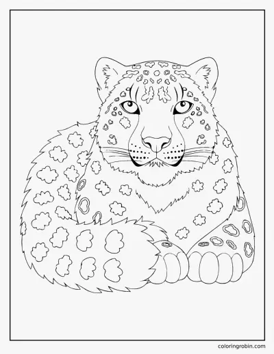Realistic Snow Leopard coloring page
