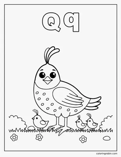 Q Is for Quail coloring page