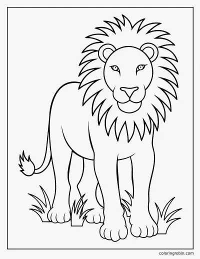 Lion coloring page