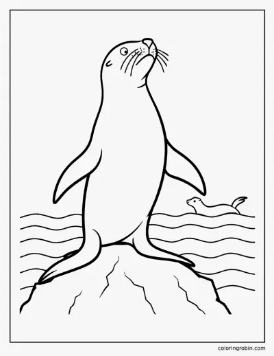 Sea Lion coloring page