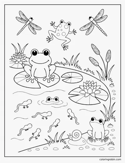 Frogs and Tadpoles coloring page