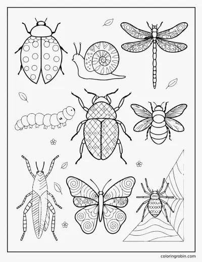 Patterned Garden Bugs coloring page