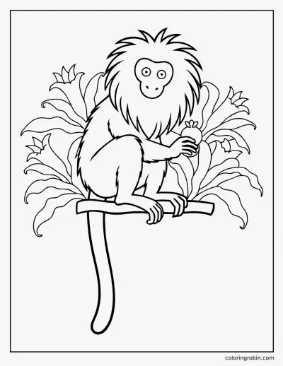 Golden Lion Tamarin coloring page