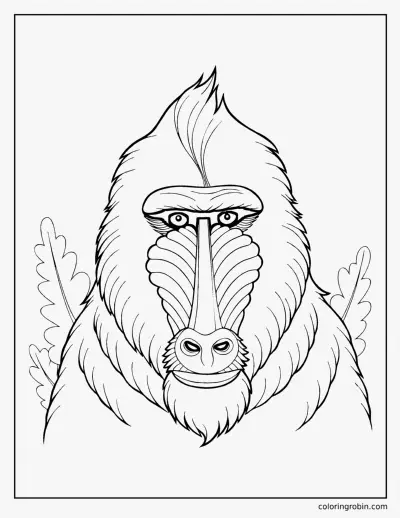 Mandrill coloring page