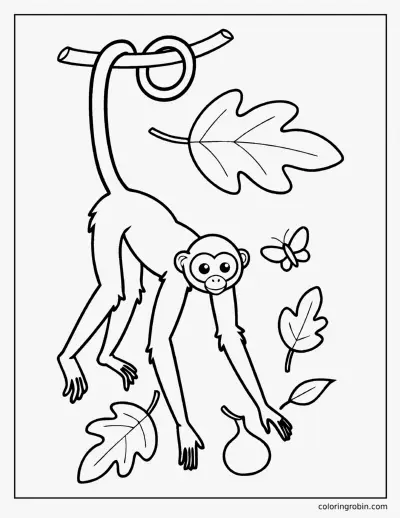 Spider Monkey coloring page