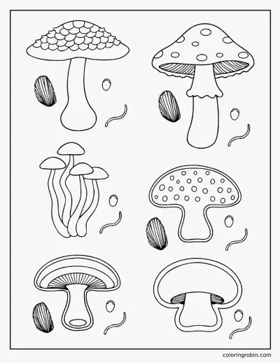 Botanical Mushroom Study coloring page