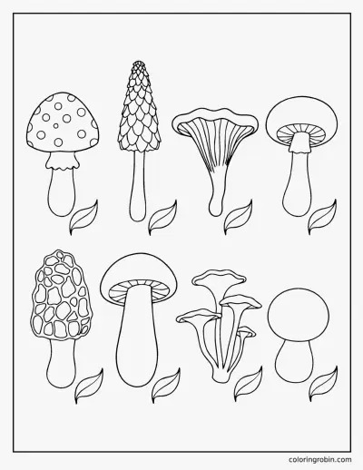 Eight Kinds of Mushroom coloring page