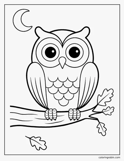 November Owl coloring page