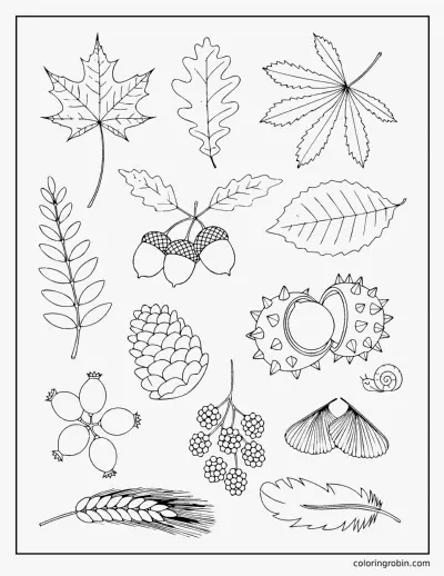 Autumn Specimen Plate coloring page