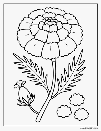 Big Marigold coloring page