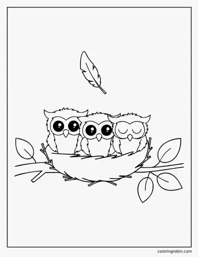 Baby Owls in a Nest coloring page