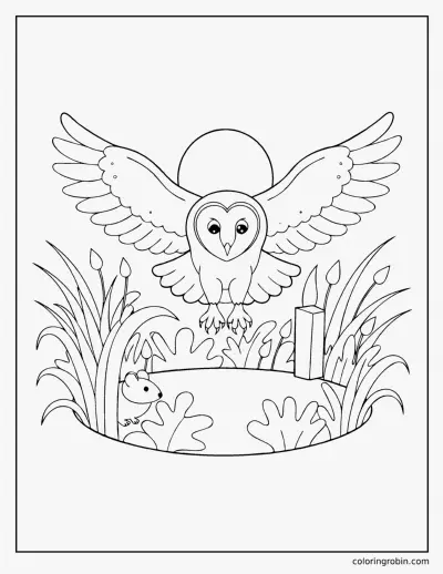 Barn Owl in Flight coloring page