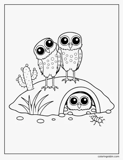 Burrowing Owls coloring page