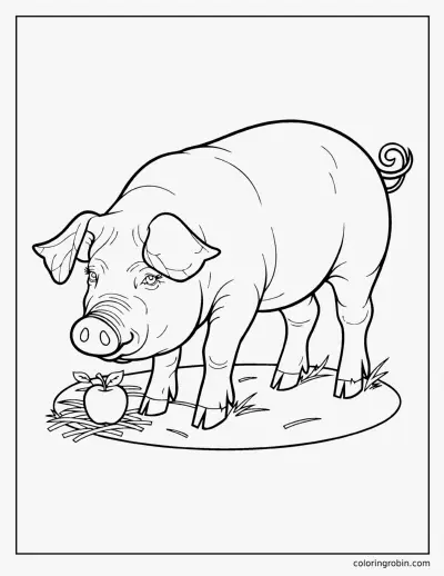 Realistic Pig coloring page