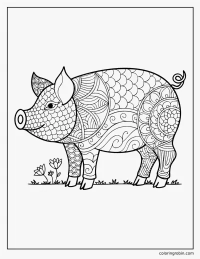 Zentangle Pig coloring page