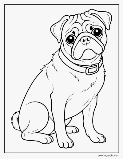 Realistic Pug coloring page