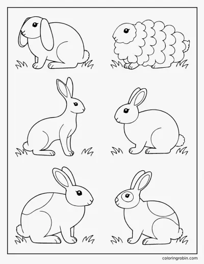 Rabbit Breeds coloring page