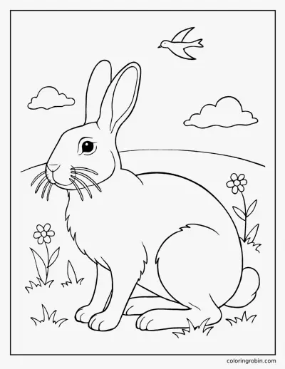 Realistic Rabbit coloring page