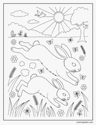 Two Rabbits Playing coloring page