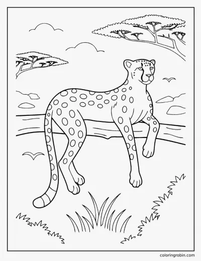 Cheetah coloring page