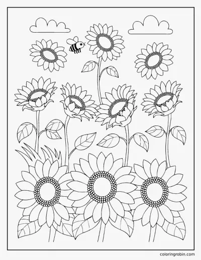 Sunflower Field coloring page
