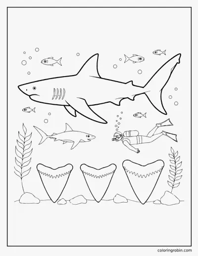 Megalodon coloring page