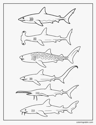 Six Kinds of Shark coloring page