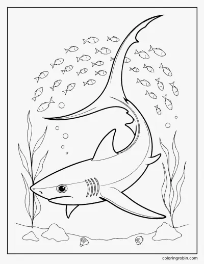 Thresher Shark coloring page