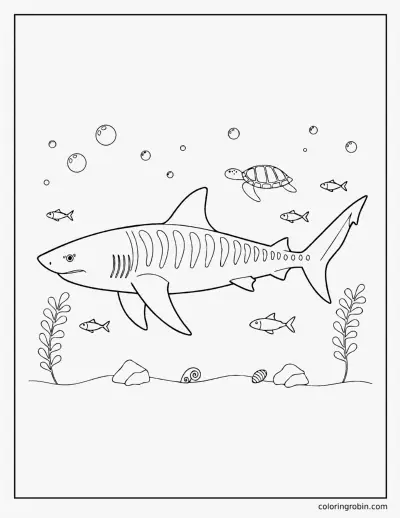 Tiger Shark coloring page