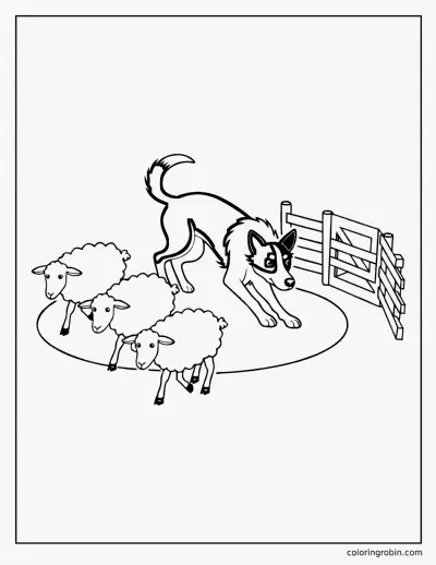 Sheepdog Herding Sheep coloring page