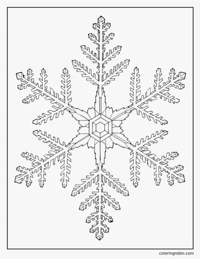 Realistic Snowflake Crystal coloring page