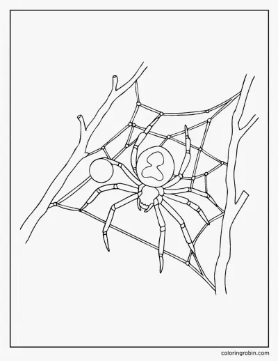 Black Widow Spider coloring page