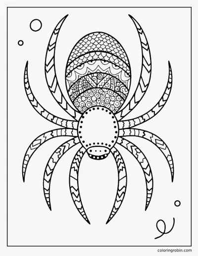 Zentangle Spider coloring page