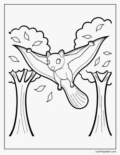 Flying Squirrel coloring page