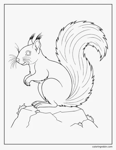 Realistic Squirrel coloring page