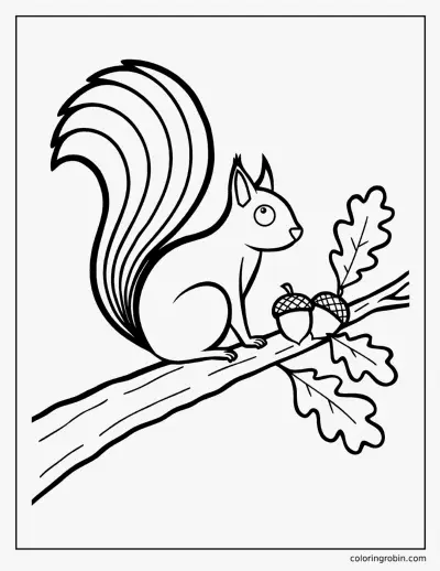 Squirrel on a Branch coloring page